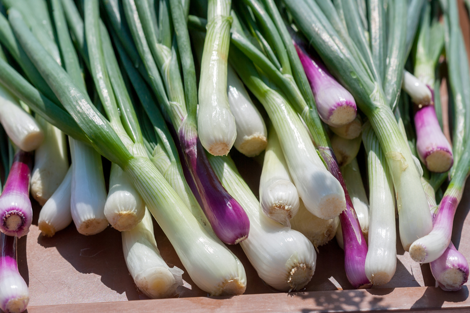 Green Onions