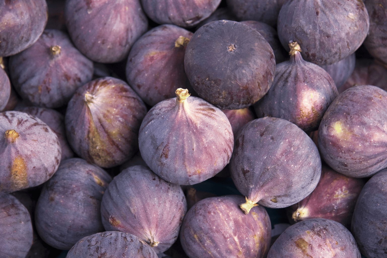 Figs