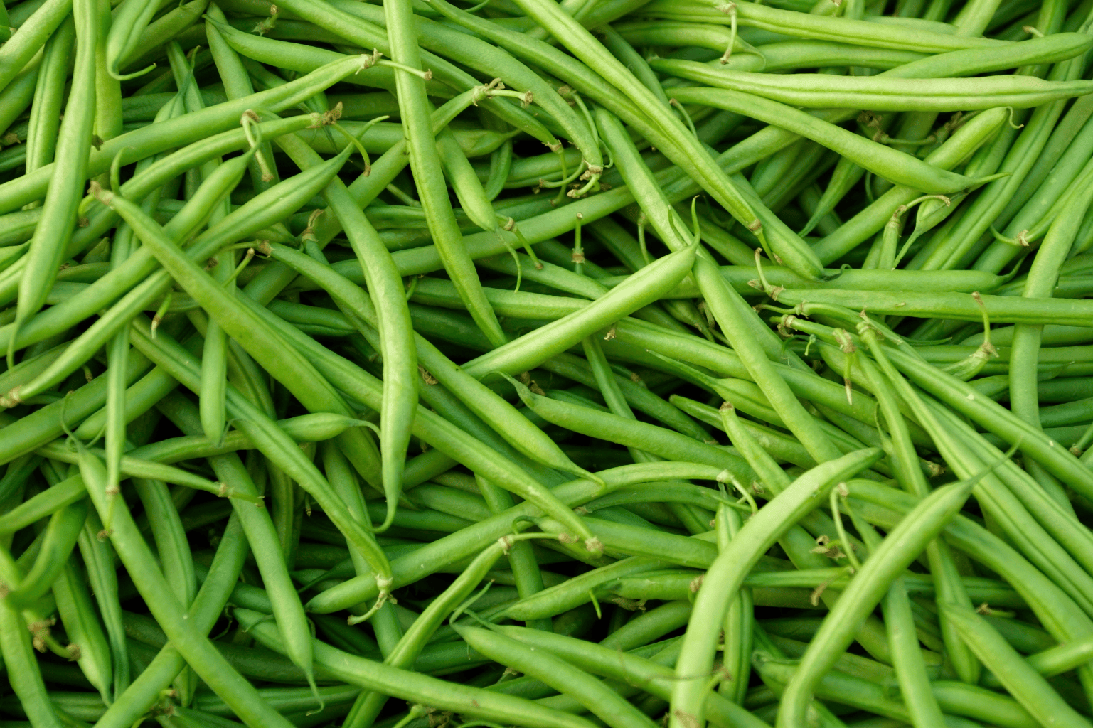 Green Beans